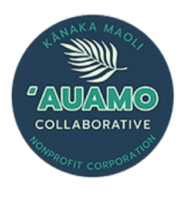Ookla Logo Auamo Collaborative